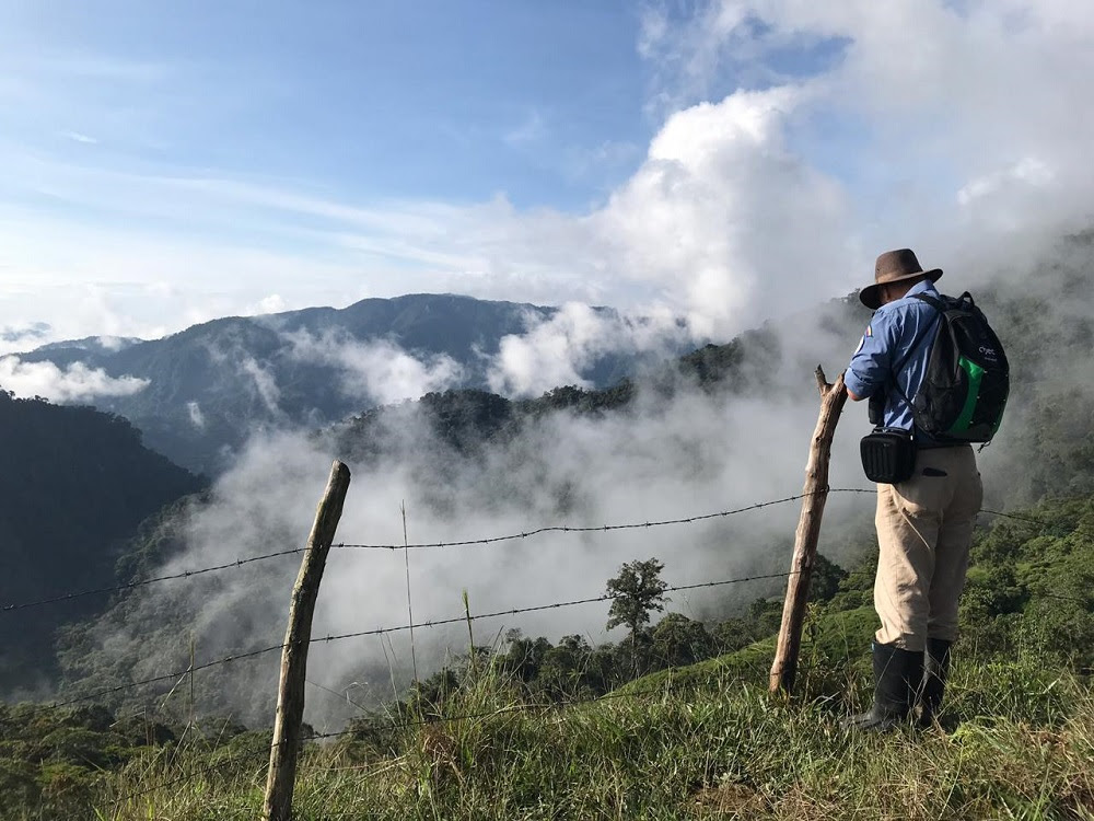 TODOS EN SAMAN� CON LA CONSERVACI�N DE LA SELVA DE FLORENCIA