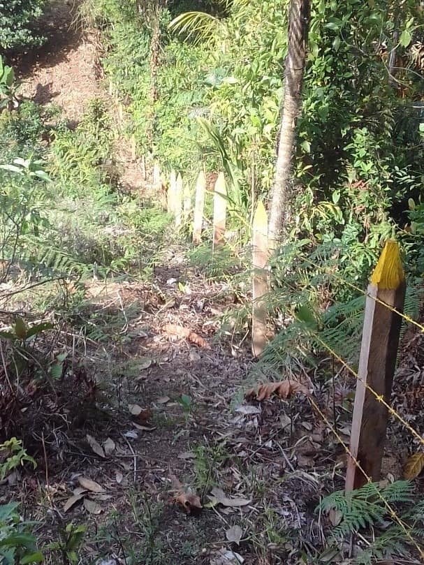 PRESERVAR EL AGUA ES CUIDAR LA VIDA-