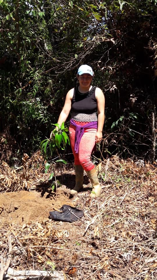 GESTI�N POR EL MEDIO AMBIENTE, GESTI�N POR TODOS