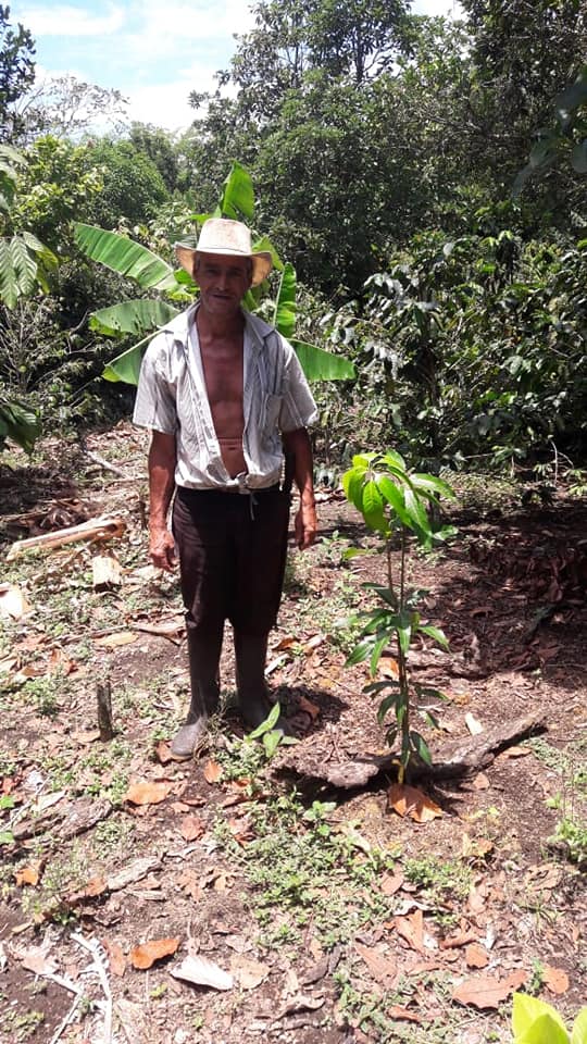 GESTI�N POR EL MEDIO AMBIENTE, GESTI�N POR TODOS