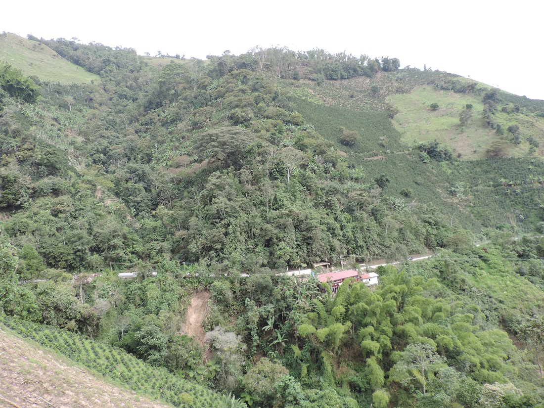 OCAD APROB� CINCO PROYECTOS POR 29 MIL MILLONES PARA CALDAS 