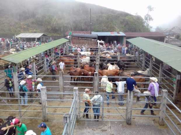 LO MAT� UN TORO EN LA FERIA GANADERA DE SAMAN�