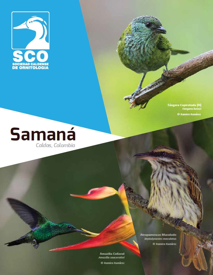 CALDAS CUENTA CON 800 ESPECIES DE AVES