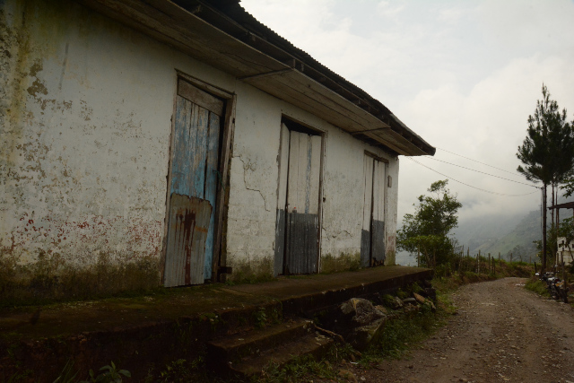 EL RETORNO DE LA SELVA EN SAMAN�