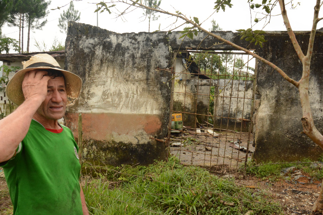 EL RETORNO DE LA SELVA EN SAMAN�