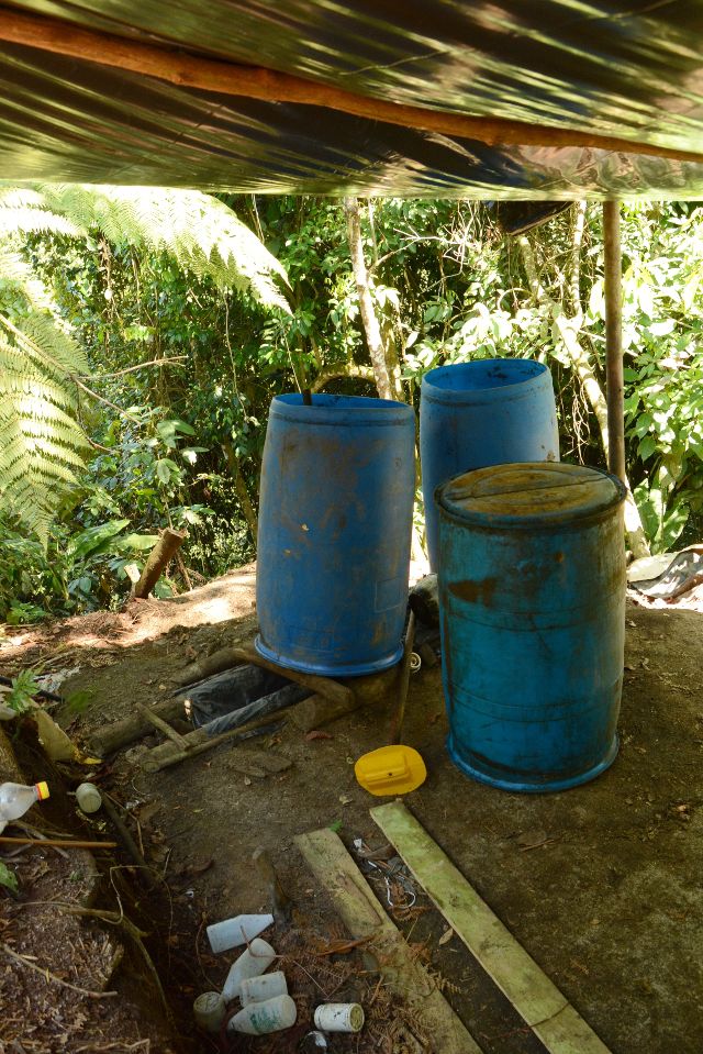 S� HAY CULTIVOS DE COCA EN CALDAS, LA PATRIA VERIFIC� DENUNCIA EN SAMAN�