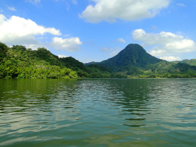 PARA�SO EN LA LAGUNA DE SAN DIEGO (SAMAN�)