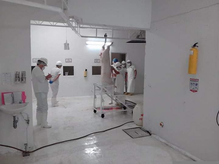 VAN A INICIAR LAS OBRAS DE ADECUACI�N DE LA CENTRAL DE SACRIFICIO