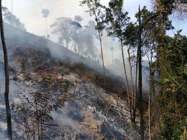 CUATRO HECT�REAS FUERON CONSUMIDAS POR EL FUEGO EN CORREGIMIENTO DE BERL�N