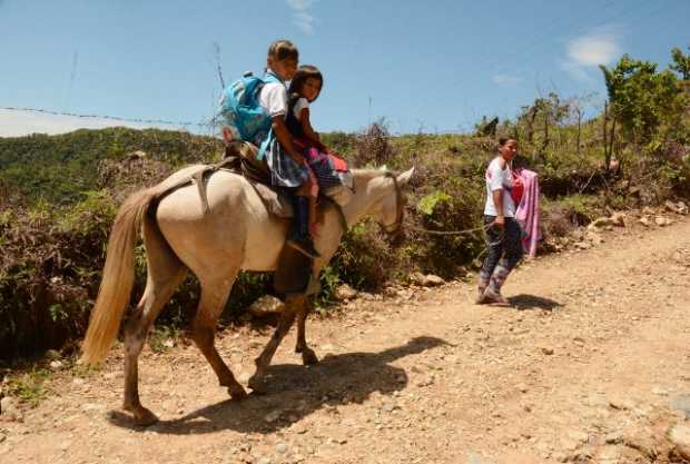 QUE NOS DEN TRASPORTE, ESO QUEDA MUY LEJOS: CLAMAN ESTUDIANTES DE COLEGIO RURAL DE SAMAN� CALDAS