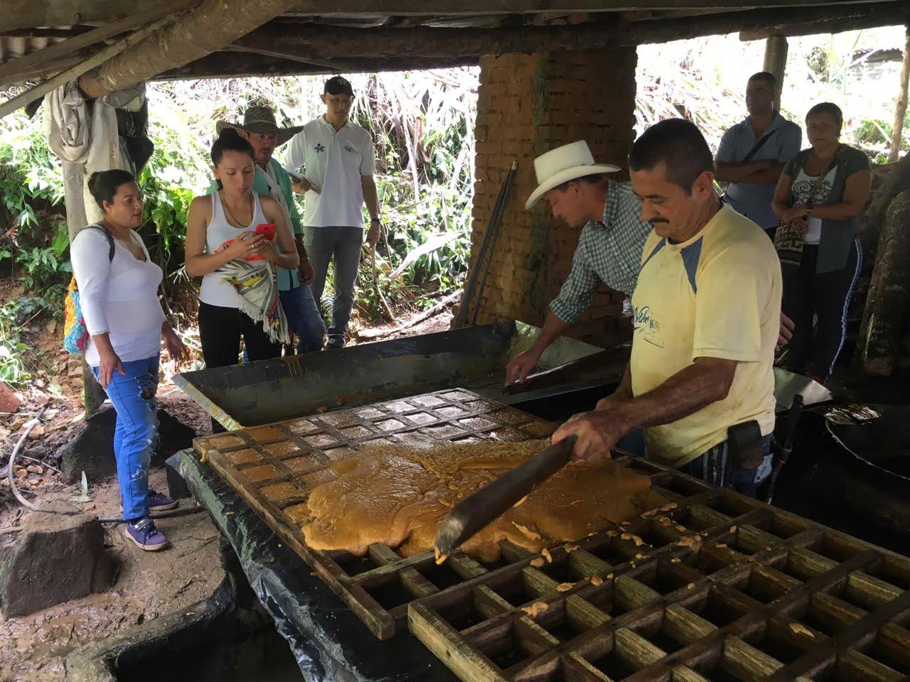 PRIMER SEMINARIO DE PEQUE�OS Y MEDIANOS PRODUCTORES PANELEROS DEL ORIENTE CALDENSE
