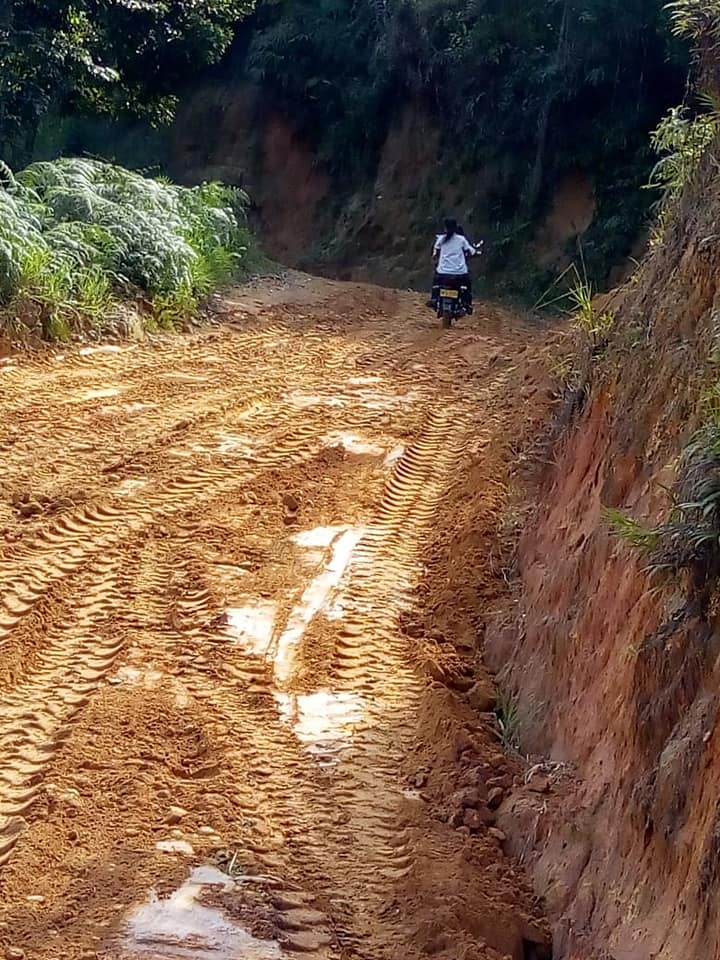 CARRETERA LA PALMERA - LOS POMOS (BERL�N)