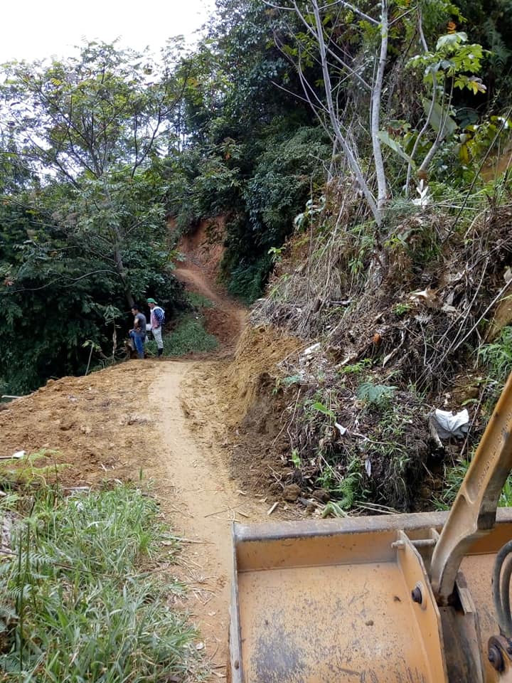 CARRETERA LA PALMERA - LOS POMOS (BERL�N)
