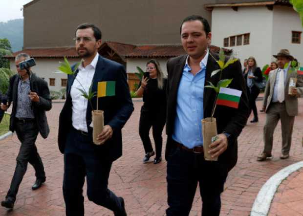 EN CALDAS SE PLANTAR�N 500 MIL �RBOLES