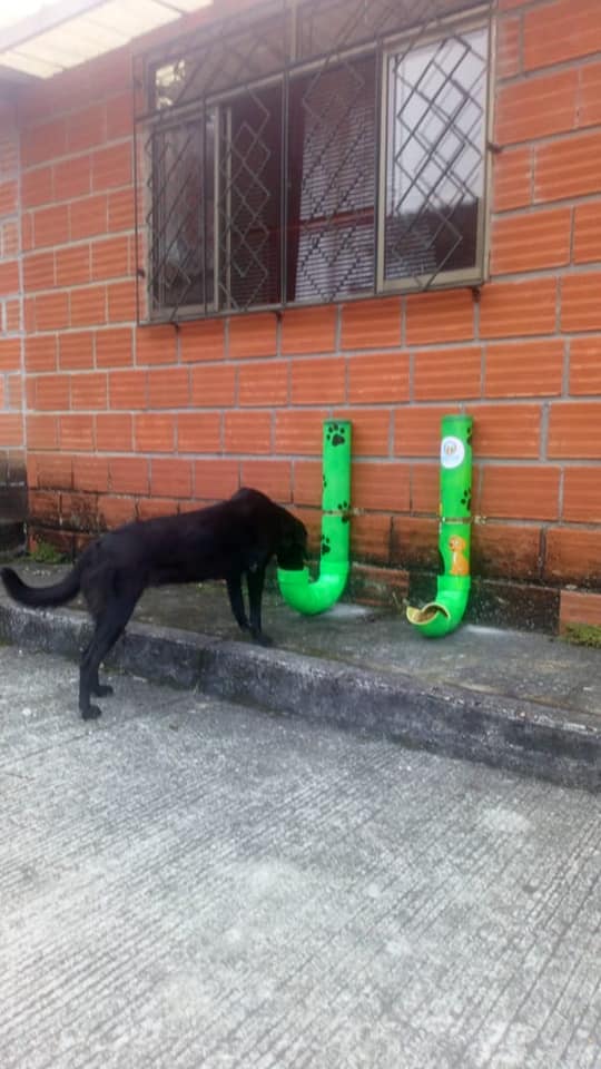 BEBEDEROS Y COMEDEROS PARA ANIMALES DE CALLE