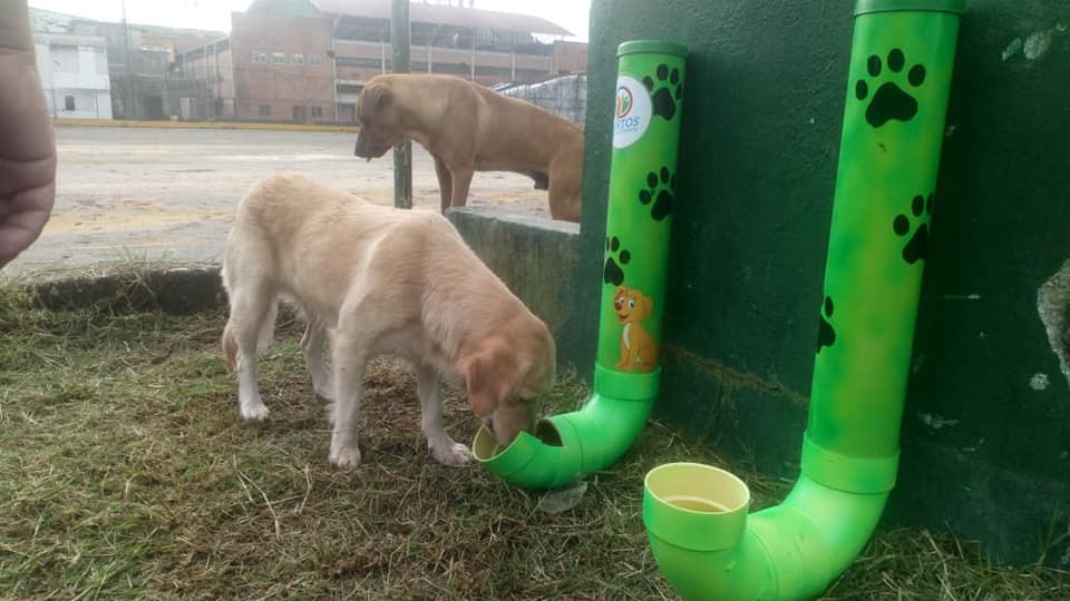 BEBEDEROS Y COMEDEROS PARA ANIMALES DE CALLE