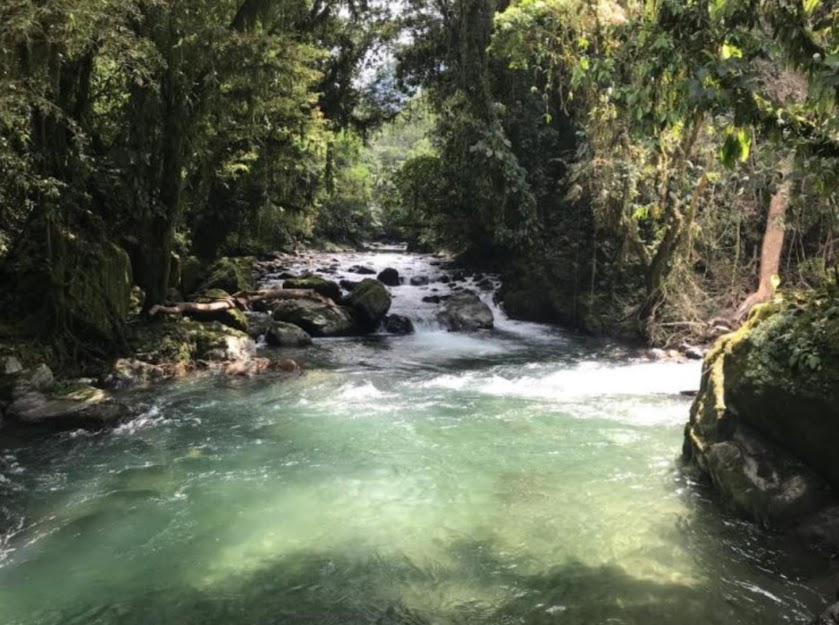 LICENCIA AMBIENTAL PARA R�O HONDO PCH DE GENSA