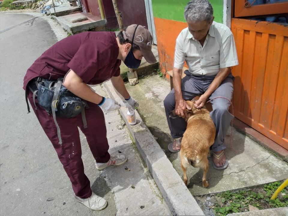 DESPARACITACI�N DE APROXIMADAMENTE 200 PERROS