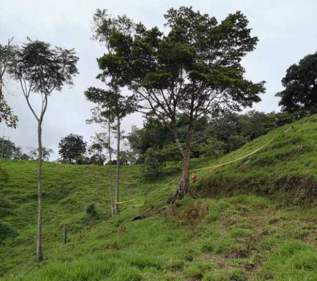 LO MATARON EN TARRO PINTADO POR $1 MILL�N 400 MIL: SIJ�N CAPTUR� A DESMOVILIZADOS