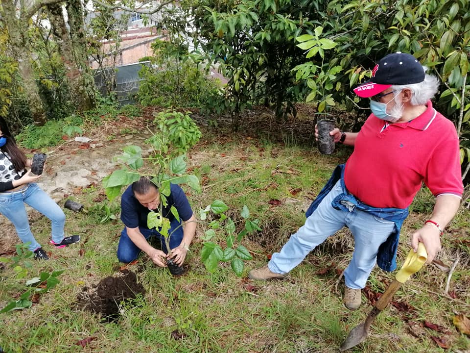 PROYECTOS PEDAG�GICOS SIEMBRA DE �RBOLES DE CHOCHO, GUAMO Y CAUCHO