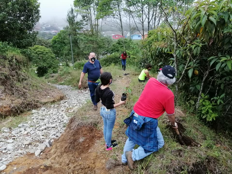 PROYECTOS PEDAG�GICOS SIEMBRA DE �RBOLES DE CHOCHO, GUAMO Y CAUCHO