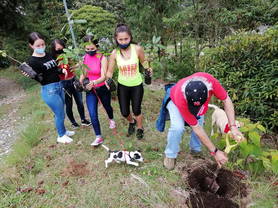 PROYECTOS PEDAG�GICOS SIEMBRA DE �RBOLES DE CHOCHO, GUAMO Y CAUCHO