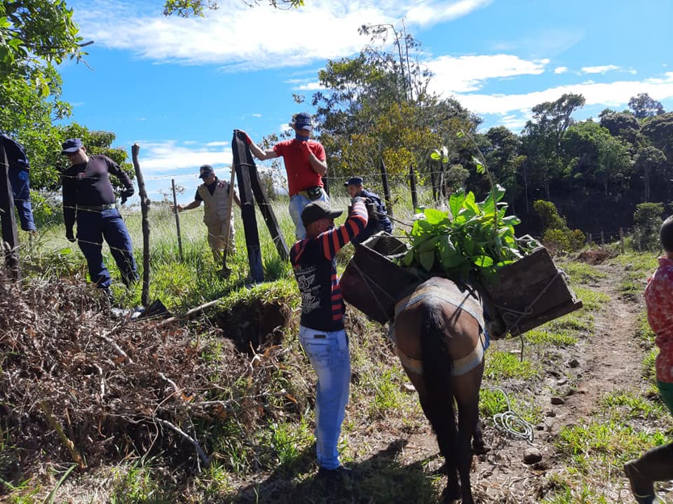 REFORESTACI�N CON LA SIEMBRA DE �RBOLES EN LA MICROCUENCA DE SANTA LNES