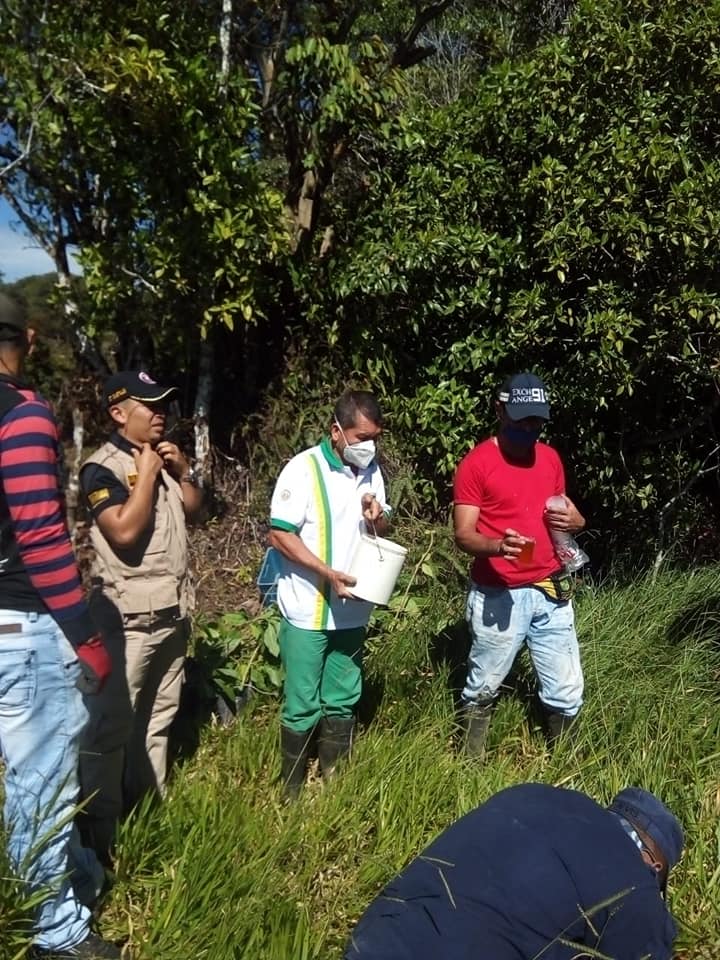 REFORESTACI�N CON LA SIEMBRA DE �RBOLES EN LA MICROCUENCA DE SANTA LNES