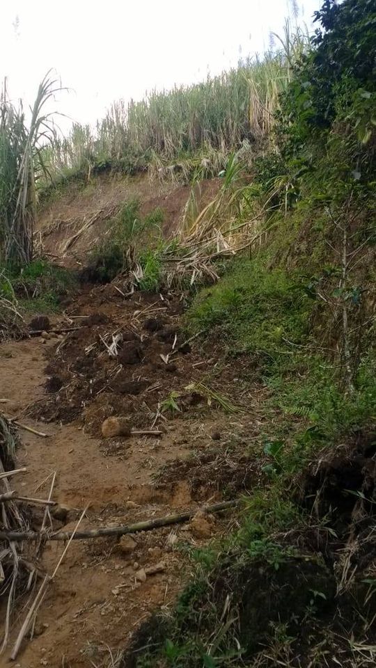 CENSOS A DAMNIFICADOS POR OLA INVERNAL SANTA RITA