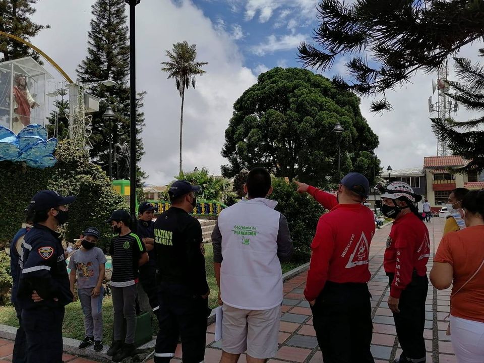 PODA DE SEIS (6) �RBOLES EN EL PARQUE PRINCIPAL DE SAMAN�