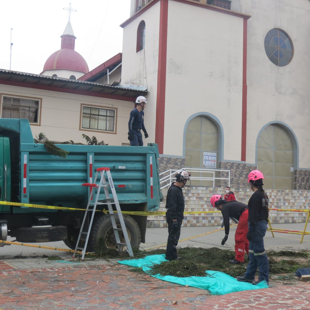 PODA DE LOS GIGANTESCOS �RBOLES DEL PARQUE PRINCIPAL