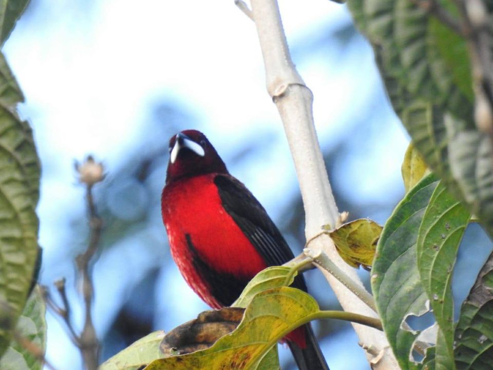 SE FOMENTA EL TURISMO Y LA BIODIVERSIDAD DEL MUNICIPIO