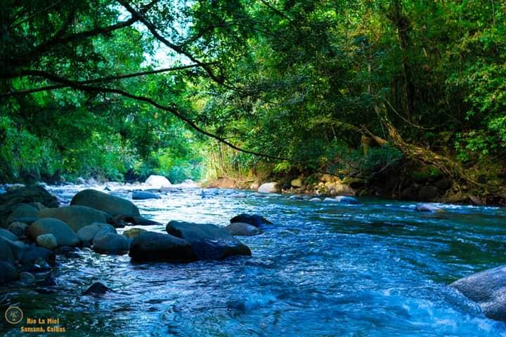 GRAN DA�O AMBIENTAL SE PRODUJO EN LAS AGUAS DE NUESTRO RIO LA MIEL.