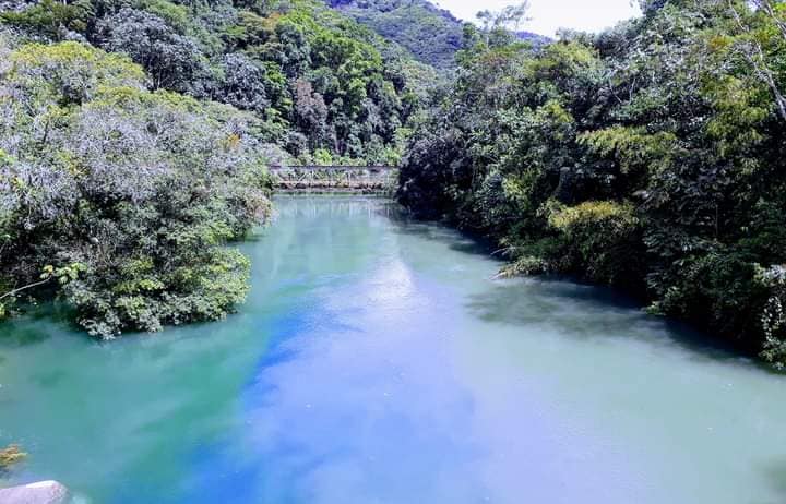 GRAN DA�O AMBIENTAL SE PRODUJO EN LAS AGUAS DE NUESTRO RIO LA MIEL.