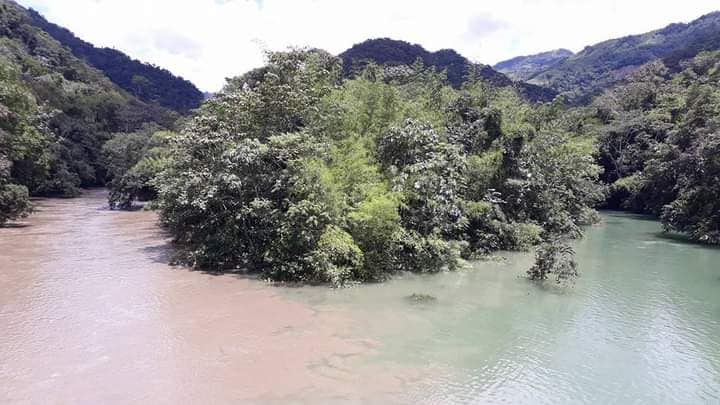 GRAN DA�O AMBIENTAL SE PRODUJO EN LAS AGUAS DE NUESTRO RIO LA MIEL.