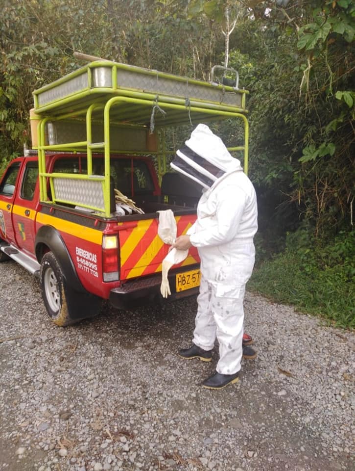 CONTROL DE ABEJAS AFRICANAS EN EL PLAN DE VILLA MAR�A