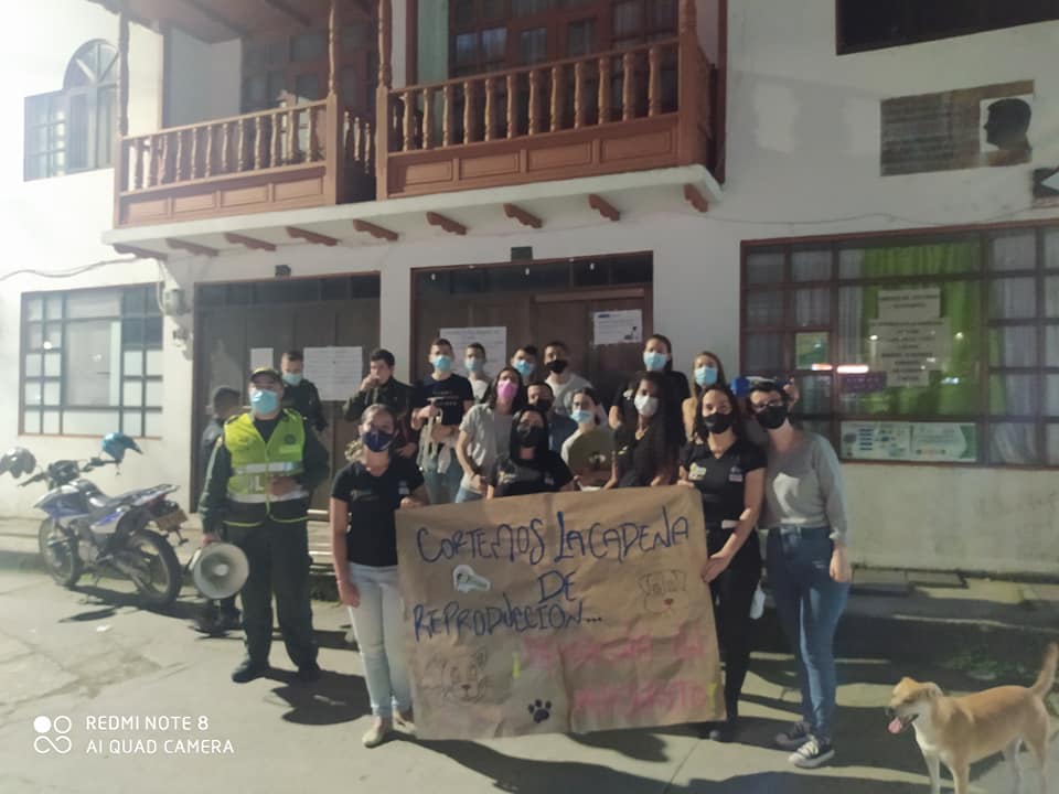  APADRINAR A LOS PERROS Y GATOS EN SITUACI�N DE CALLE EN SAMAN�