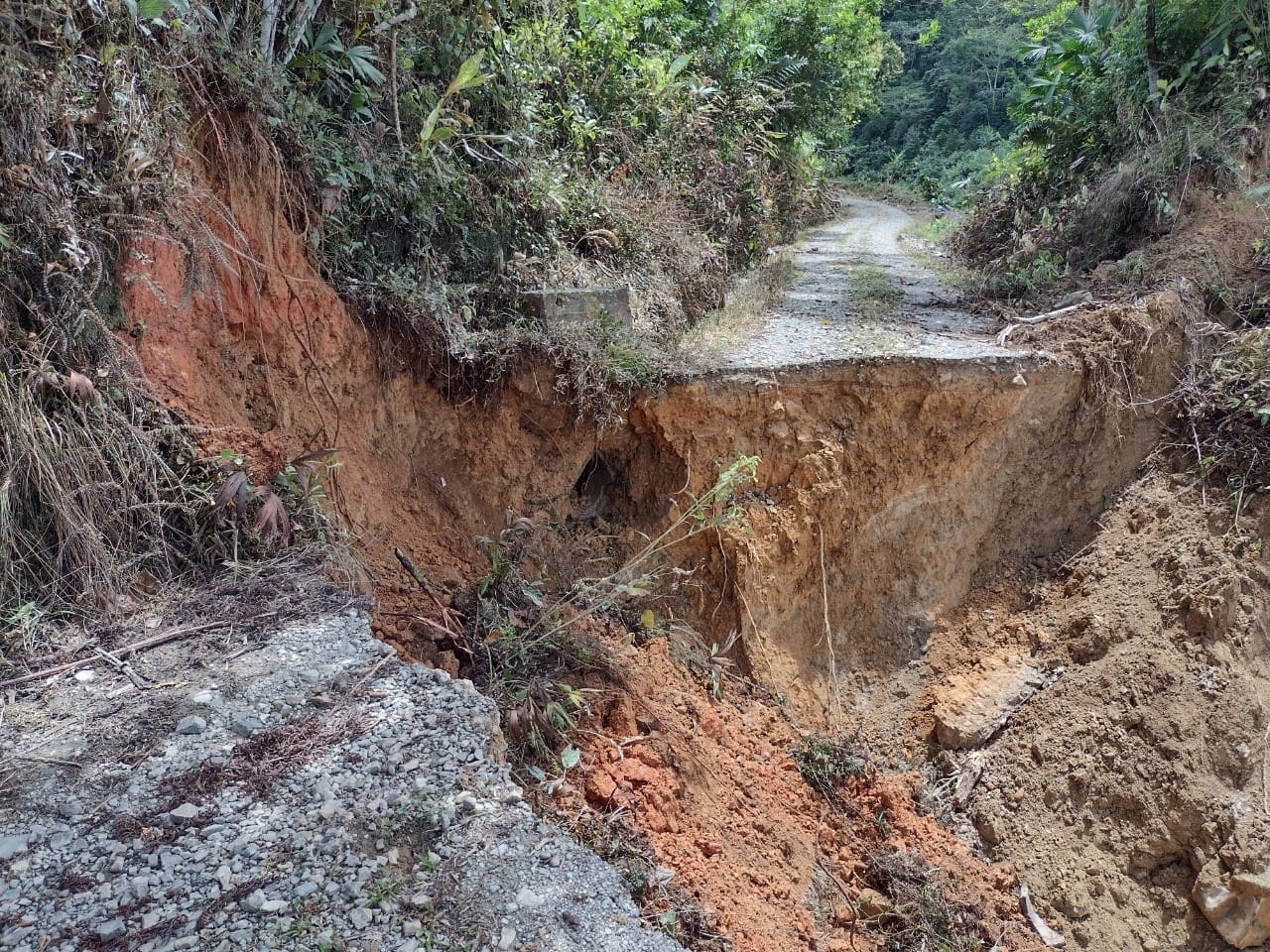 P�RDIDA TOTAL PERDIDA DE LA BANCA  CABECERA MUNICIPAL DE SAMAN� AL CORREGIMIENTO FLORENCIA