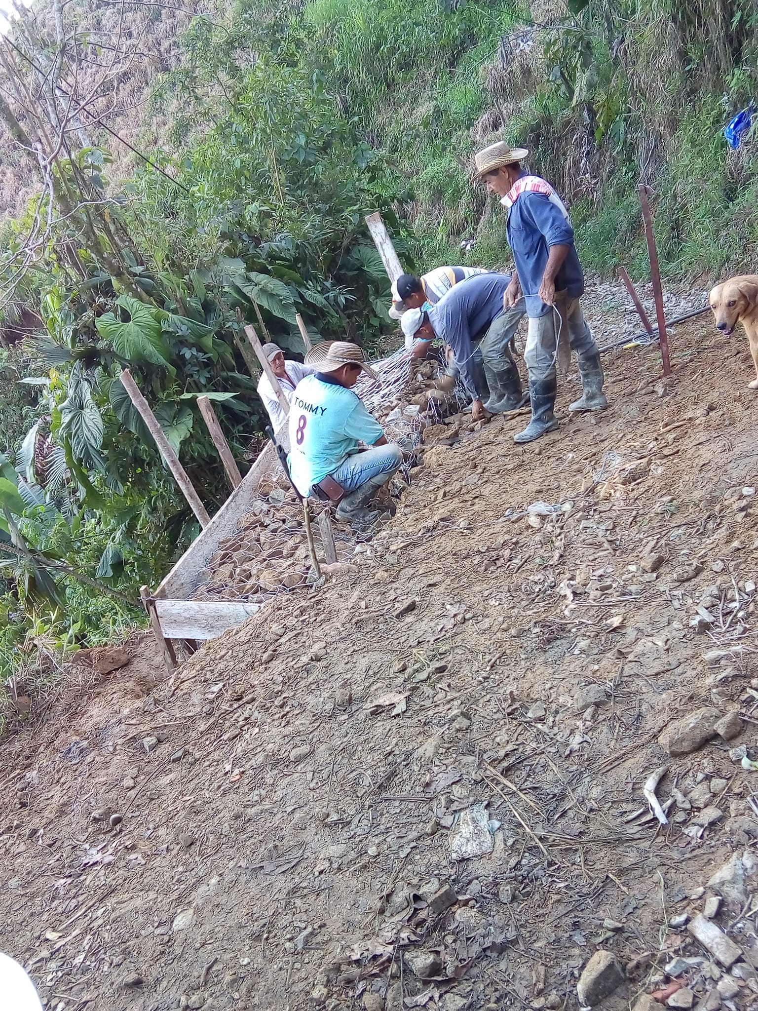 OBRA QUE SE EST� REALIZANDO EN LA VEREDA DE TESORITOS 