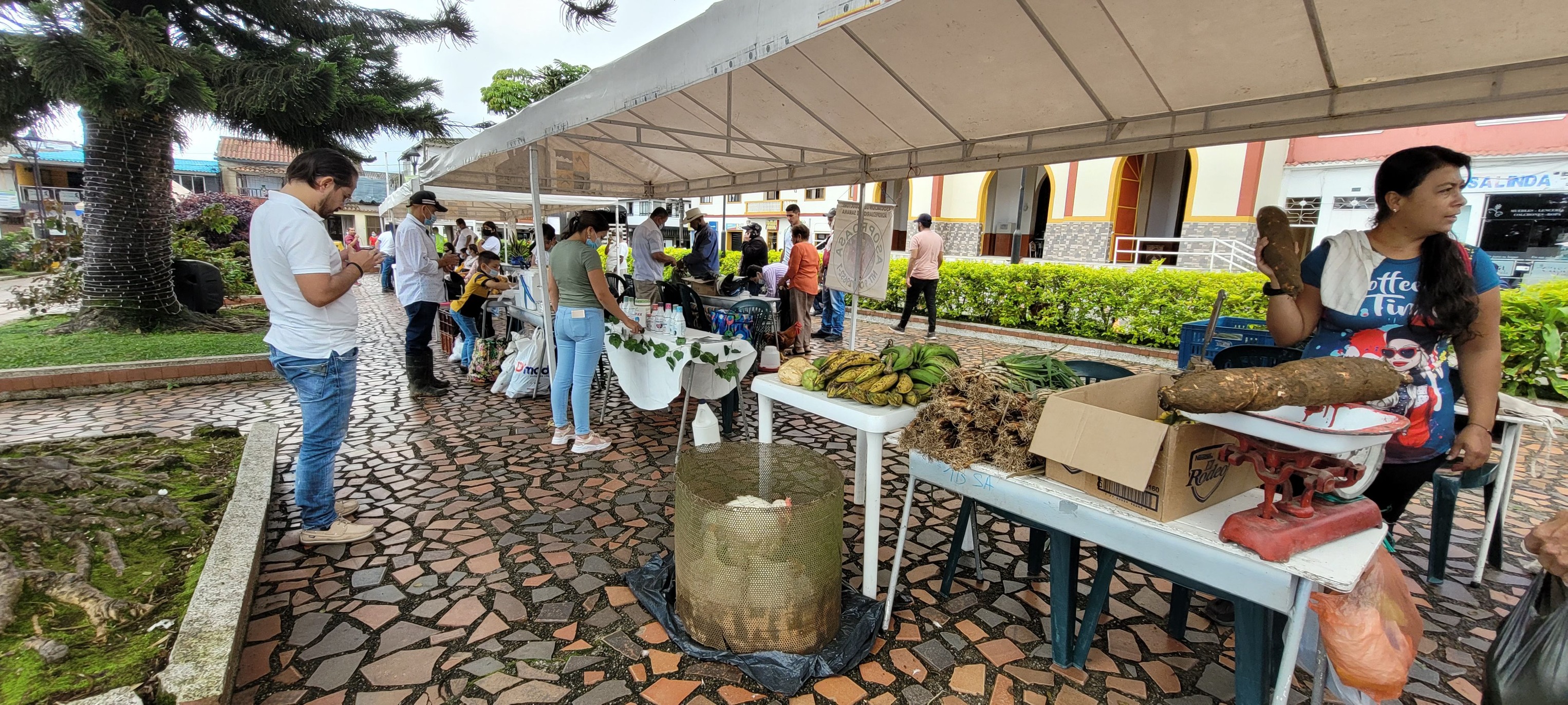 MERCADO CAMPESINO