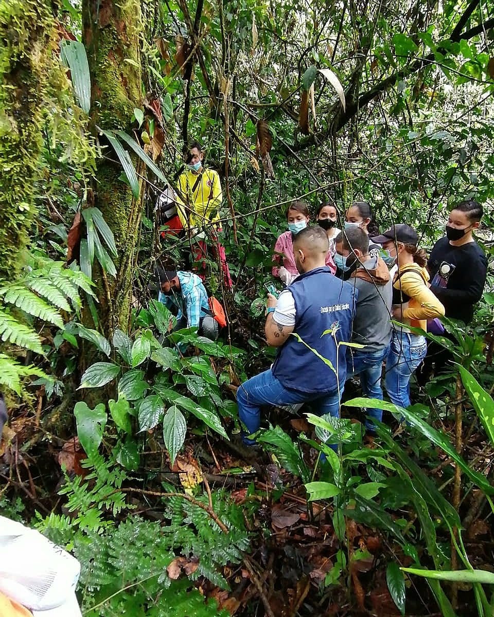 GRUPO DE INVESTIGACI�N IES NATURAL DE LA INSTITUCI�N EDUCATIVA EL SILENCIO SEDE SANTA TERESITA