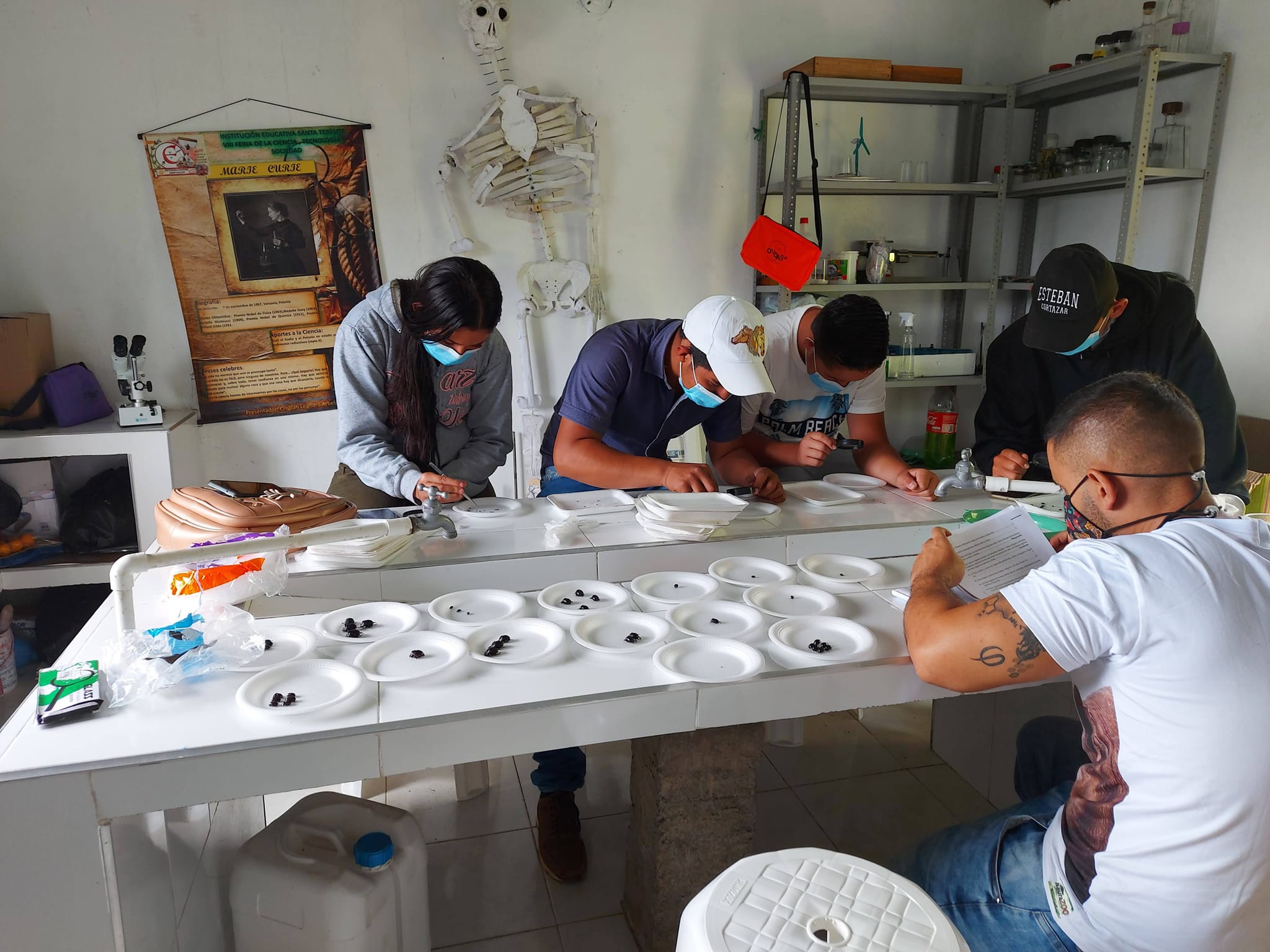 GRUPO DE INVESTIGACI�N IES NATURAL DE LA INSTITUCI�N EDUCATIVA EL SILENCIO SEDE SANTA TERESITA