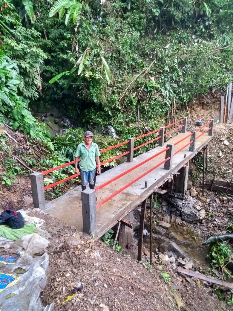 PUENTE PEATONAL EN LA VEREDA LA PALMA