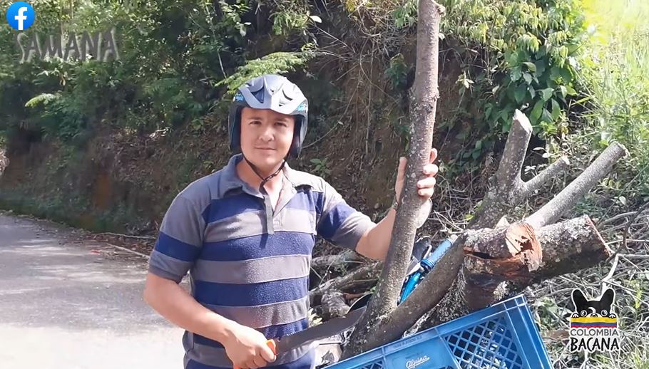 ARTE PALENQUE, CARPINTER�A SAMANE�A QUE PROTEGE LA NATURALEZA