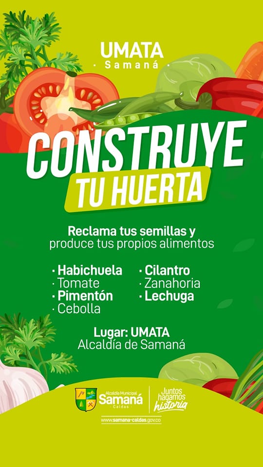 TE AYUDAMOS A CONSTRUIR TU PROPIA HUERTA