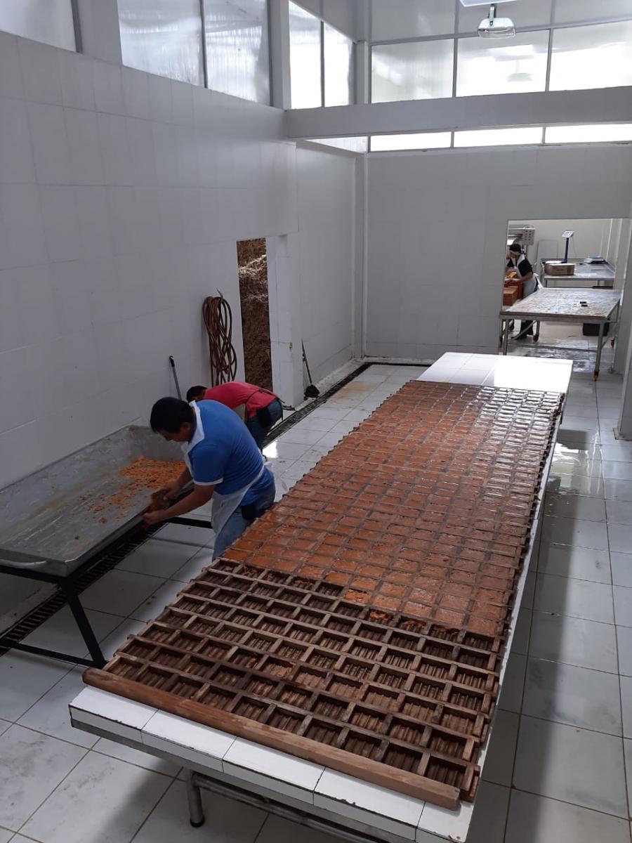 LA PANELA: EL PRODUCTO QUE TRANSFORMA LA VIDA DE LOS CAMPESINOS EN SAMAN�, CALDAS