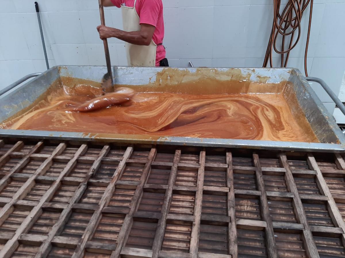 LA PANELA: EL PRODUCTO QUE TRANSFORMA LA VIDA DE LOS CAMPESINOS EN SAMAN�, CALDAS