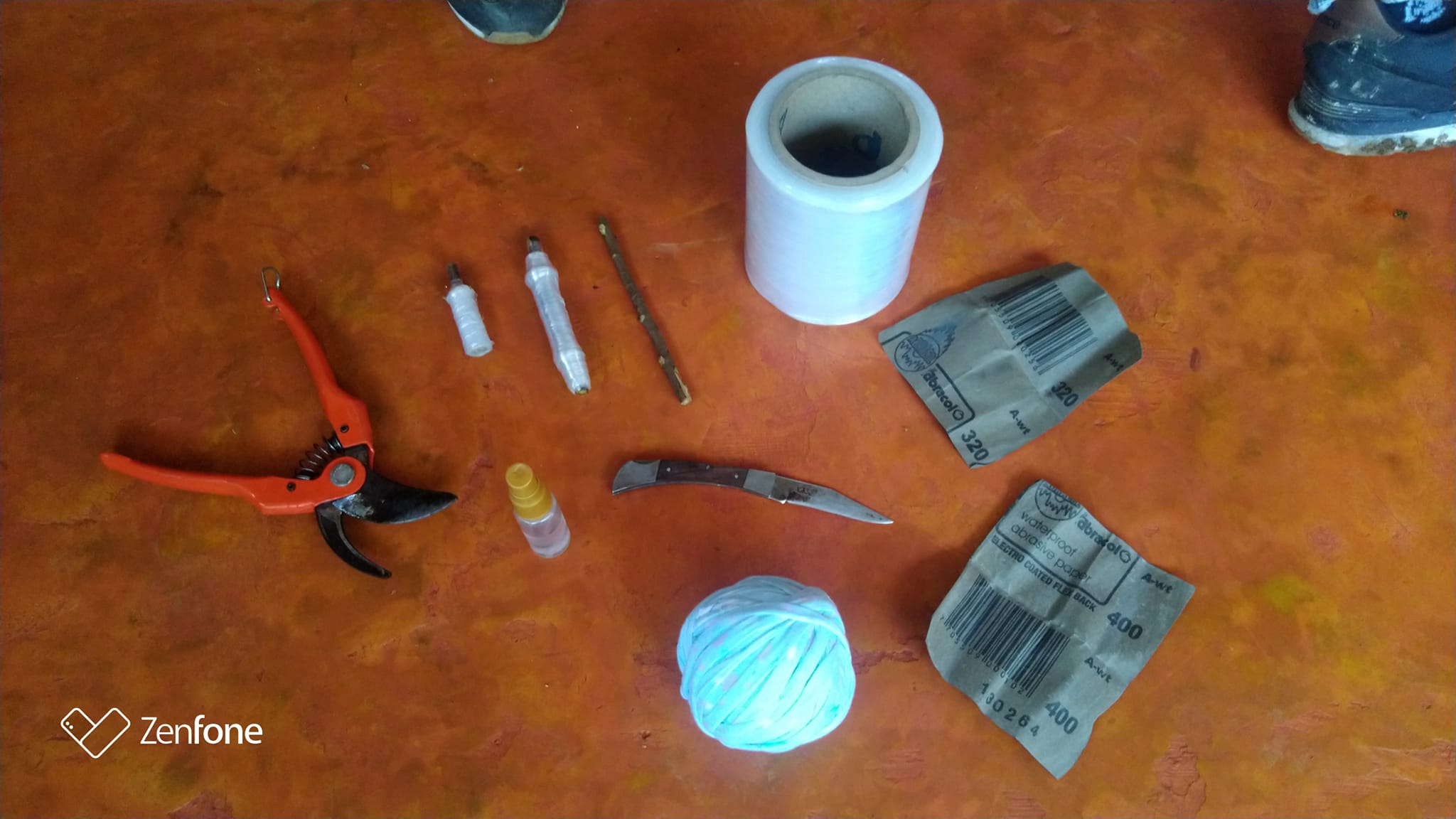 CAPACITACI�N CAMBIO DE COPA EN CACAO
