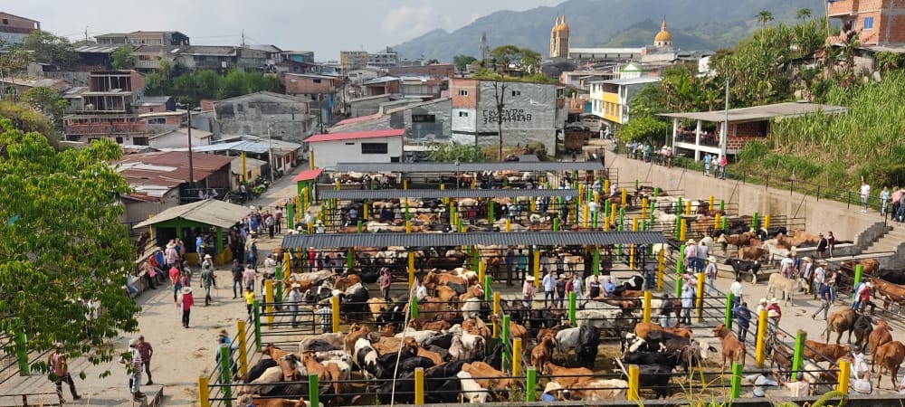 FERIA GANADERA SEPTIEMBRE 2022
