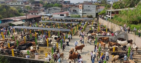 FERIA GANADERA SEPTIEMBRE 2022